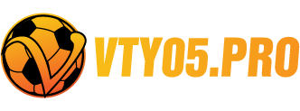 vty05